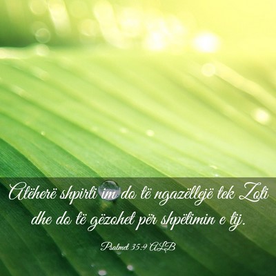 Picture 03 - Psalmet 35:9 ALB - Atëherë shpirti im do të ngazëllejë tek Zoti - Bible Verse Picture