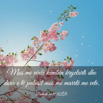 Picture 03 - Psalmet 36:11 ALB - Mos më vëntë këmbën kryelarti dhe dora e të - Bible Verse Picture