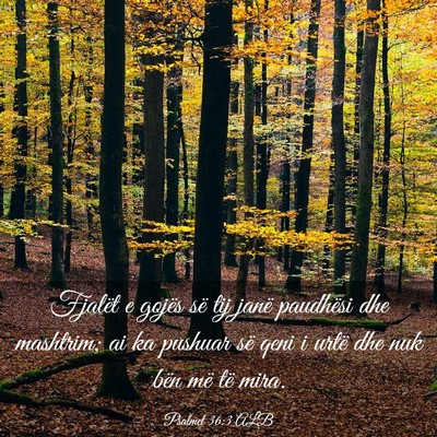 Picture 03 - Psalmet 36:3 ALB - Fjalët e gojës së tij janë paudhësi dhe - Bible Verse Picture