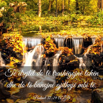 Picture 03 - Psalmet 37:29 ALB - Të drejtët do të trashëgojnë tokën dhe do - Bible Verse Picture