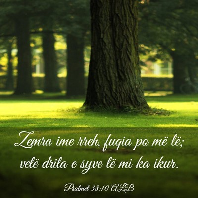 Picture 03 - Psalmet 38:10 ALB - Zemra ime rreh, fuqia po më lë; vetë drita e - Bible Verse Picture