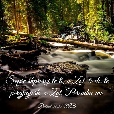 Picture 03 - Psalmet 38:15 ALB - Sepse shpresoj te ti, o Zot, ti do të - Bible Verse Picture