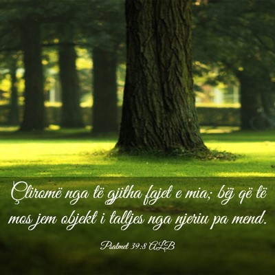 Picture 03 - Psalmet 39:8 ALB - Çliromë nga të gjitha fajet e mia; bëj që - Bible Verse Picture