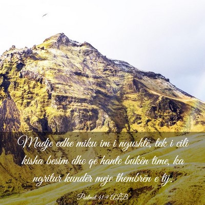 Picture 03 - Psalmet 41:9 ALB - Madje edhe miku im i ngushtë, tek i cili kisha - Bible Verse Picture