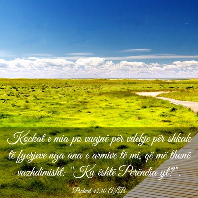 Picture 03 - Psalmet 42:10 ALB - Kockat e mia po vuajnë për vdekje për shkak - Bible Verse Picture
