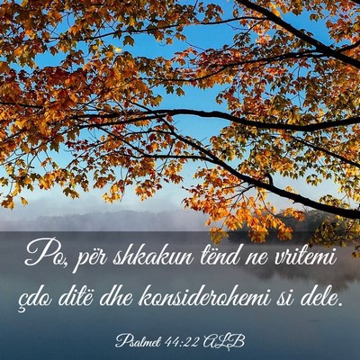 Picture 03 - Psalmet 44:22 ALB - Po, për shkakun tënd ne vritemi çdo ditë dhe - Bible Verse Picture