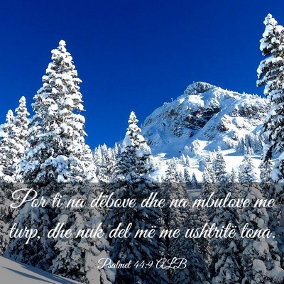 Picture 03 - Psalmet 44:9 ALB - Por ti na dëbove dhe na mbulove me turp, dhe nuk - Bible Verse Picture