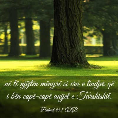 Picture 03 - Psalmet 48:7 ALB - në të njëjtën mënyrë si era e lindjes që i - Bible Verse Picture