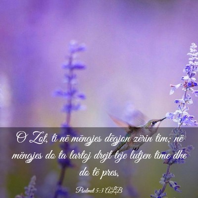Picture 03 - Psalmet 5:3 ALB - O Zot, ti në mëngjes dëgjon zërin tim; në - Bible Verse Picture