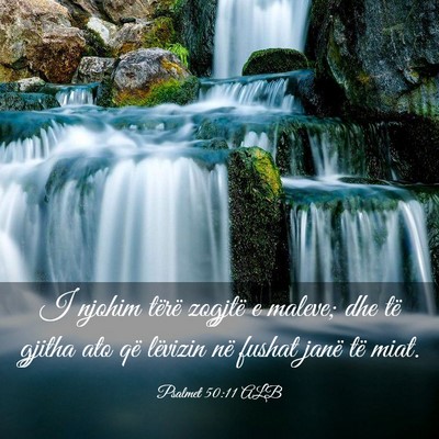 Picture 03 - Psalmet 50:11 ALB - I njohim tërë zogjtë e maleve; dhe të gjitha - Bible Verse Picture
