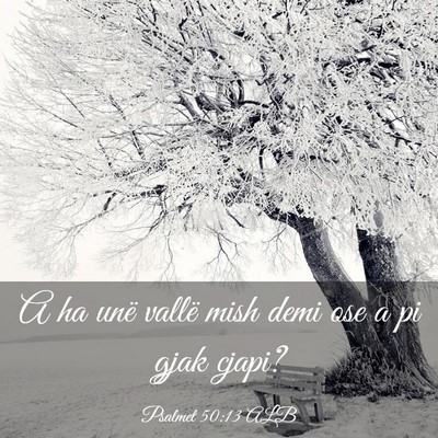 Picture 03 - Psalmet 50:13 ALB - A ha unë vallë mish demi ose a pi gjak - Bible Verse Picture