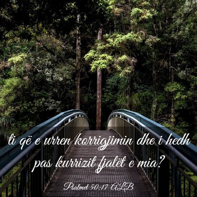 Picture 03 - Psalmet 50:17 ALB - ti që e urren korrigjimin dhe i hedh pas - Bible Verse Picture