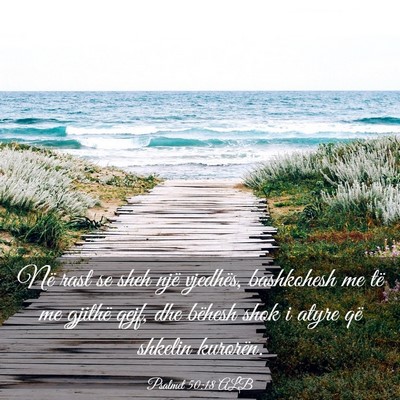 Picture 03 - Psalmet 50:18 ALB - Në rast se sheh një vjedhës, bashkohesh me të - Bible Verse Picture