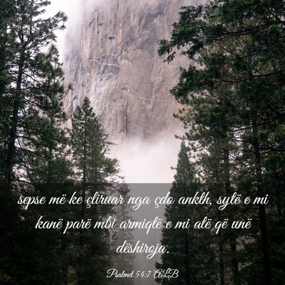 Picture 03 - Psalmet 54:7 ALB - sepse më ke çliruar nga çdo ankth, sytë e mi - Bible Verse Picture