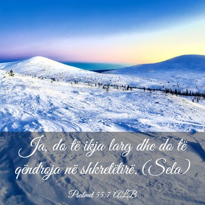 Picture 03 - Psalmet 55:7 ALB - Ja, do të ikja larg dhe do të qëndroja në - Bible Verse Picture