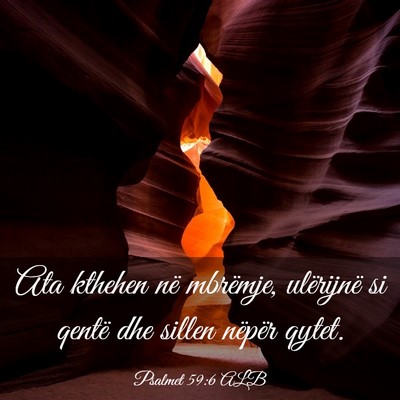 Picture 03 - Psalmet 59:6 ALB - Ata kthehen në mbrëmje, ulërijnë si qentë - Bible Verse Picture