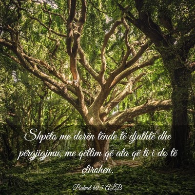 Picture 03 - Psalmet 60:5 ALB - Shpëto me dorën tënde të djathtë dhe - Bible Verse Picture