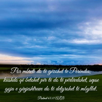 Picture 03 - Psalmet 63:11 ALB - Por mbreti do të gëzohet te Perëndia; kushdo - Bible Verse Picture