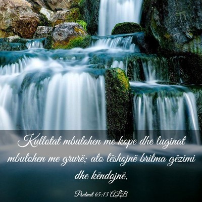 Picture 03 - Psalmet 65:13 ALB - Kullotat mbulohen me kope dhe luginat mbulohen me - Bible Verse Picture