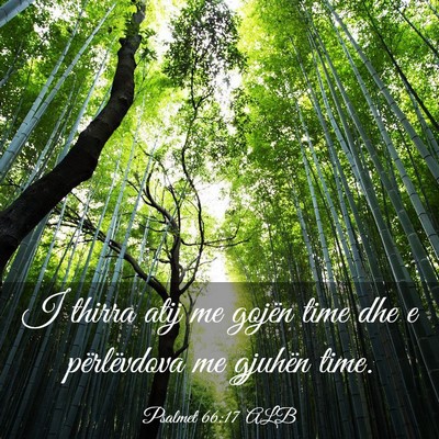 Picture 03 - Psalmet 66:17 ALB - I thirra atij me gojën time dhe e përlëvdova - Bible Verse Picture