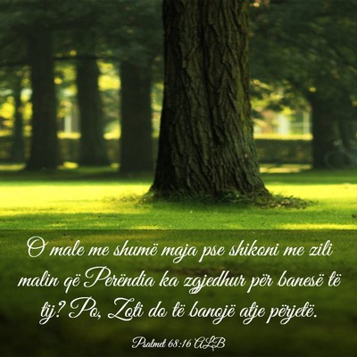 Picture 03 - Psalmet 68:16 ALB - O male me shumë maja pse shikoni me zili malin - Bible Verse Picture