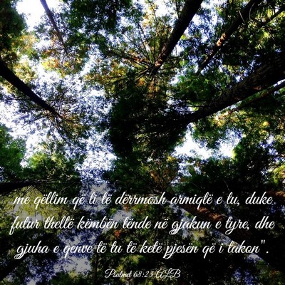 Picture 03 - Psalmet 68:23 ALB - me qëllim që ti të dërrmosh armiqtë e tu, - Bible Verse Picture