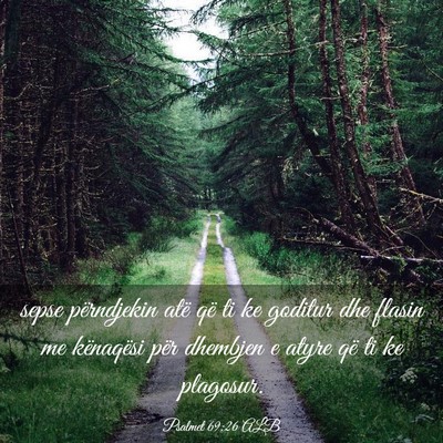 Picture 03 - Psalmet 69:26 ALB - sepse përndjekin atë që ti ke goditur dhe - Bible Verse Picture