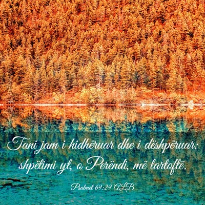 Picture 03 - Psalmet 69:29 ALB - Tani jam i hidhëruar dhe i dëshpëruar; - Bible Verse Picture