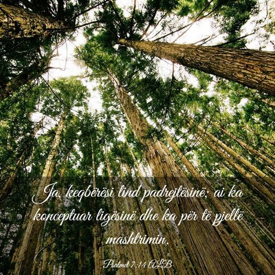 Picture 03 - Psalmet 7:14 ALB - Ja, keqbërësi lind padrejtësinë; ai ka - Bible Verse Picture