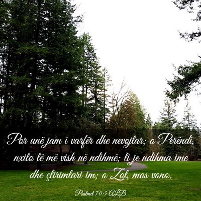 Picture 03 - Psalmet 70:5 ALB - Por unë jam i varfër dhe nevojtar; o Perëndi, - Bible Verse Picture