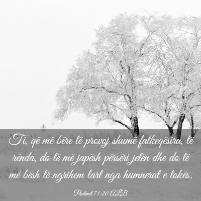 Picture 03 - Psalmet 71:20 ALB - Ti, që më bëre të provoj shumë fatkeqësira, - Bible Verse Picture