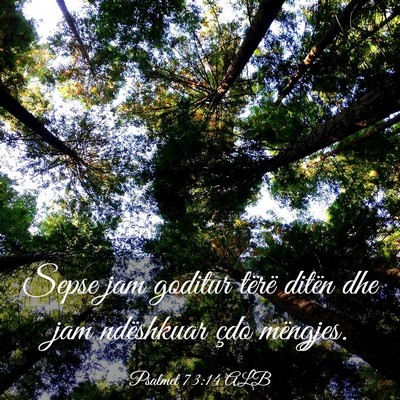 Picture 03 - Psalmet 73:14 ALB - Sepse jam goditur tërë ditën dhe jam - Bible Verse Picture