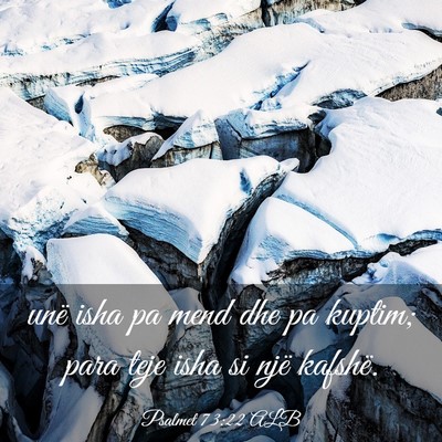 Picture 03 - Psalmet 73:22 ALB - unë isha pa mend dhe pa kuptim; para teje isha - Bible Verse Picture
