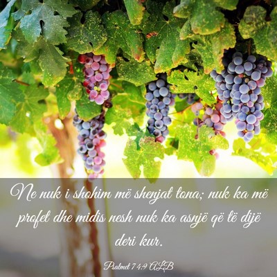 Picture 03 - Psalmet 74:9 ALB - Ne nuk i shohim më shenjat tona; nuk ka më - Bible Verse Picture