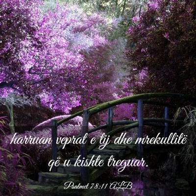 Picture 03 - Psalmet 78:11 ALB - harruan veprat e tij dhe mrekullitë që u kishte - Bible Verse Picture