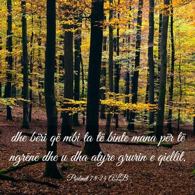 Picture 03 - Psalmet 78:24 ALB - dhe bëri që mbi ta të binte mana për të - Bible Verse Picture