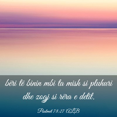 Picture 03 - Psalmet 78:27 ALB - bëri të binin mbi ta mish si pluhuri dhe zogj - Bible Verse Picture
