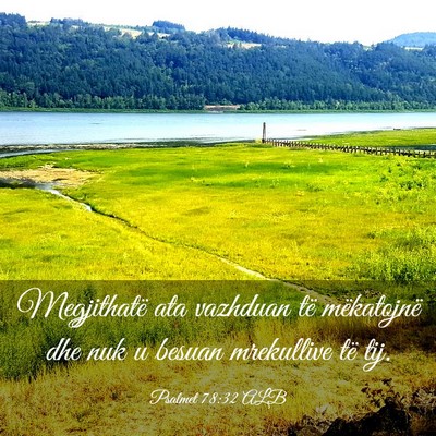 Picture 03 - Psalmet 78:32 ALB - Megjithatë ata vazhduan të mëkatojnë dhe nuk - Bible Verse Picture