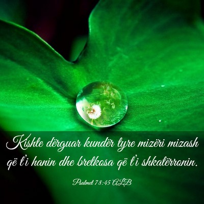 Picture 03 - Psalmet 78:45 ALB - Kishte dërguar kundër tyre mizëri mizash që - Bible Verse Picture