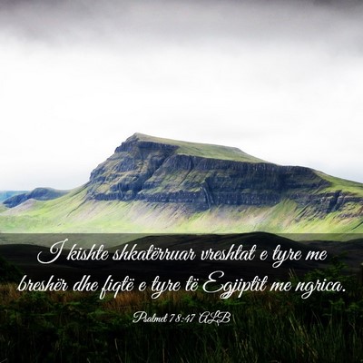 Picture 03 - Psalmet 78:47 ALB - I kishte shkatërruar vreshtat e tyre me breshër - Bible Verse Picture