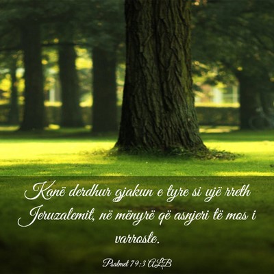 Picture 03 - Psalmet 79:3 ALB - Kanë derdhur gjakun e tyre si ujë rreth - Bible Verse Picture