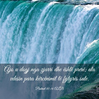 Picture 03 - Psalmet 80:16 ALB - Ajo u dogj nga zjarri dhe është prerë; ata - Bible Verse Picture