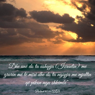 Picture 03 - Psalmet 81:16 ALB - Dhe unë do ta ushqeja (Izraelin) me grurin më - Bible Verse Picture