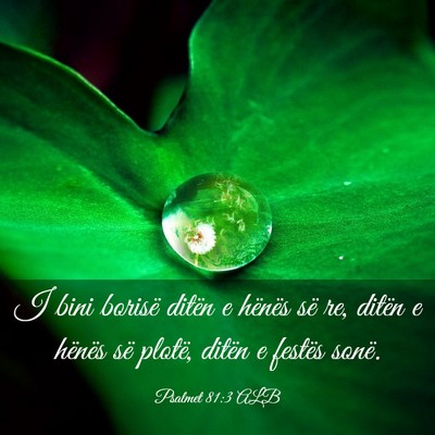Picture 03 - Psalmet 81:3 ALB - I bini borisë ditën e hënës së re, ditën e - Bible Verse Picture