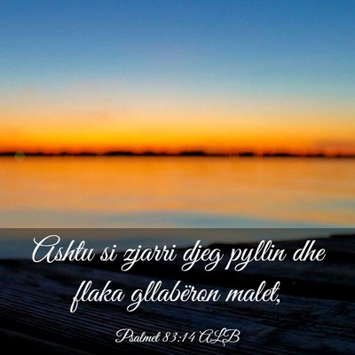 Picture 03 - Psalmet 83:14 ALB - Ashtu si zjarri djeg pyllin dhe flaka gllabëron - Bible Verse Picture