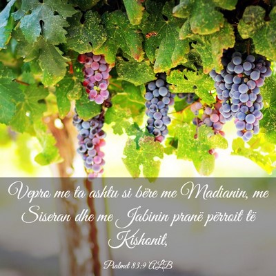 Picture 03 - Psalmet 83:9 ALB - Vepro me ta ashtu si bëre me Madianin, me - Bible Verse Picture