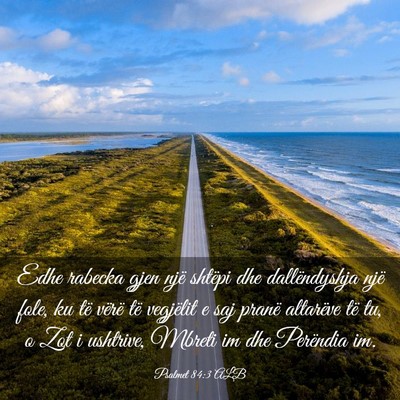 Picture 03 - Psalmet 84:3 ALB - Edhe rabecka gjen një shtëpi dhe dallëndyshja - Bible Verse Picture