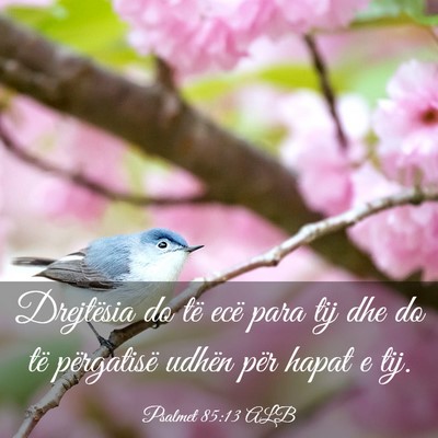 Picture 03 - Psalmet 85:13 ALB - Drejtësia do të ecë para tij dhe do të - Bible Verse Picture