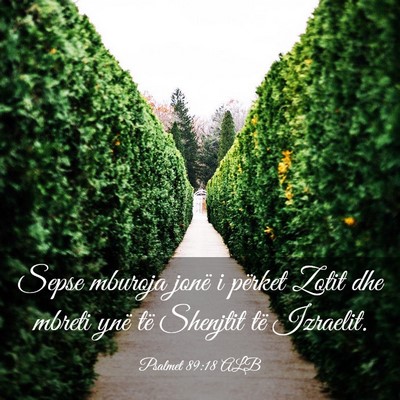 Picture 03 - Psalmet 89:18 ALB - Sepse mburoja jonë i përket Zotit dhe mbreti - Bible Verse Picture