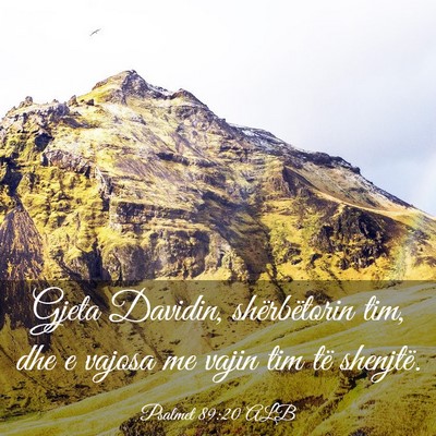 Picture 03 - Psalmet 89:20 ALB - Gjeta Davidin, shërbëtorin tim, dhe e vajosa me - Bible Verse Picture